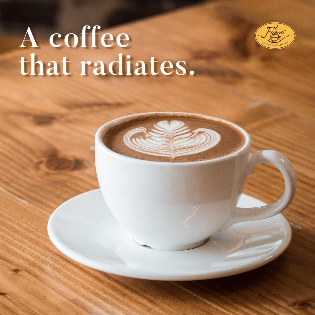 Figaro - Tagline Pubmat (2)